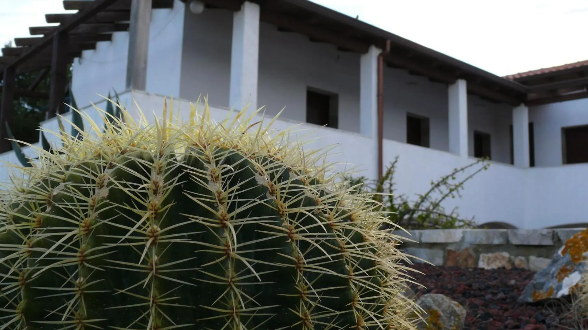 Farm stay Agave Alghero Fertilia
