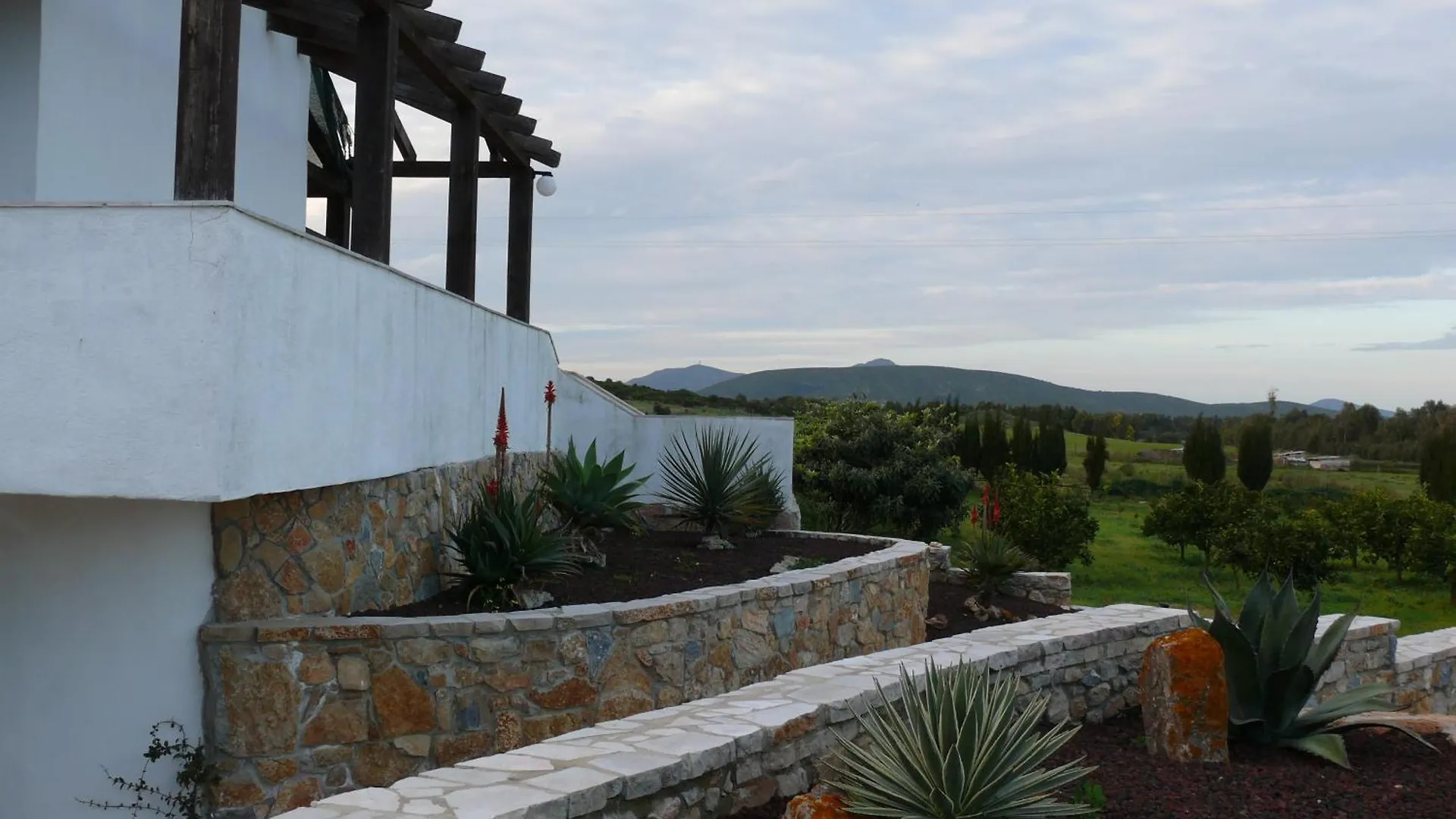 Agave Alghero Fertilia Italy