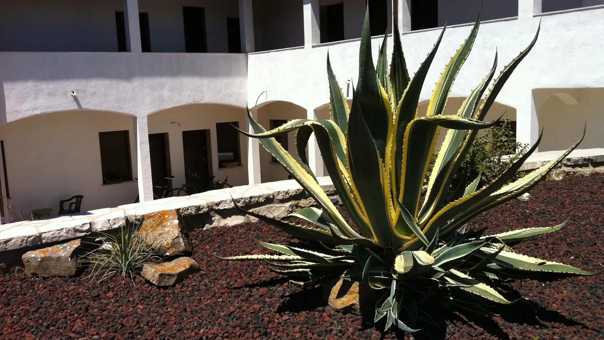 Agave Alghero Fertilia Italy